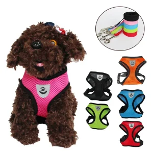 Cat Dog Adjustable Harness Vest